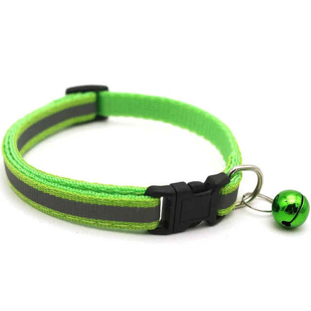 GlowPaw Collars