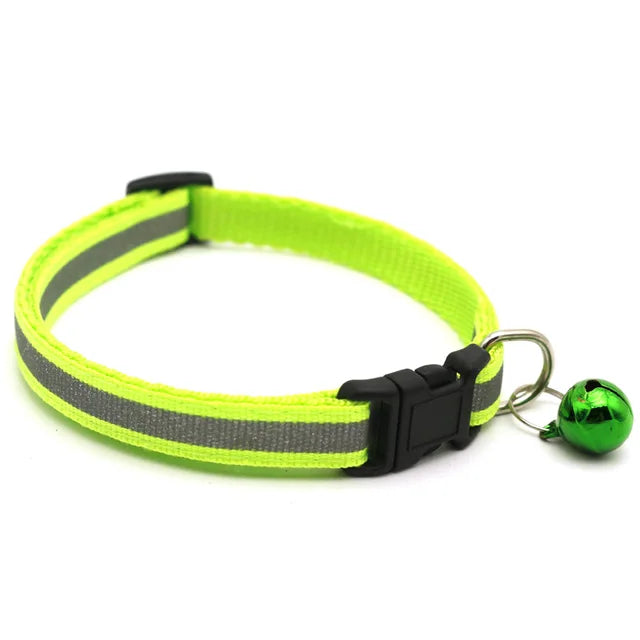 GlowPaw Collars